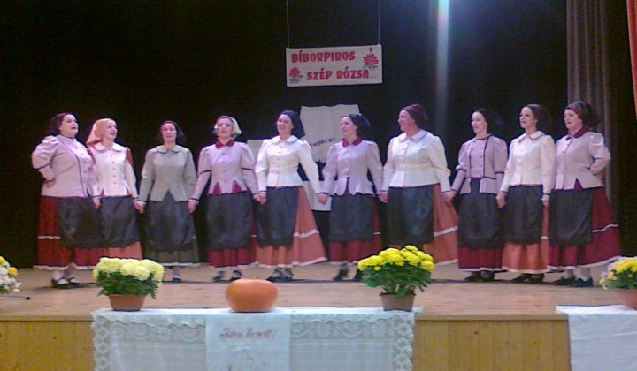 Bíborpiros szép rózsa - Rozsnyó