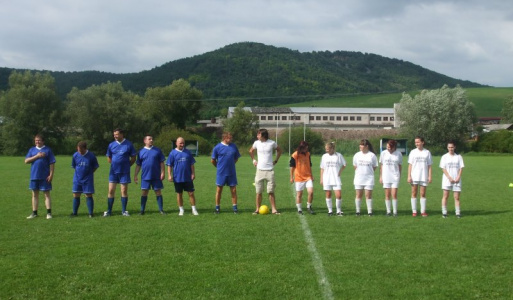 Falunap 2011 