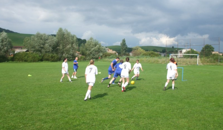 Falunap 2011