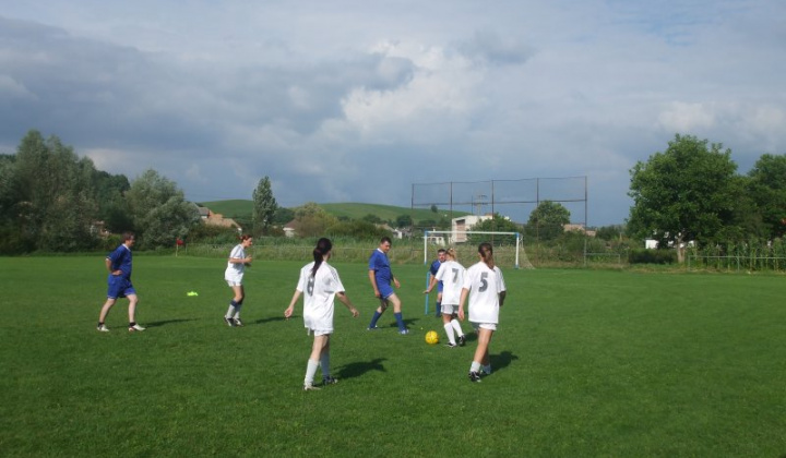 Falunap 2011