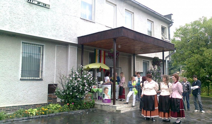 Falunap 2011