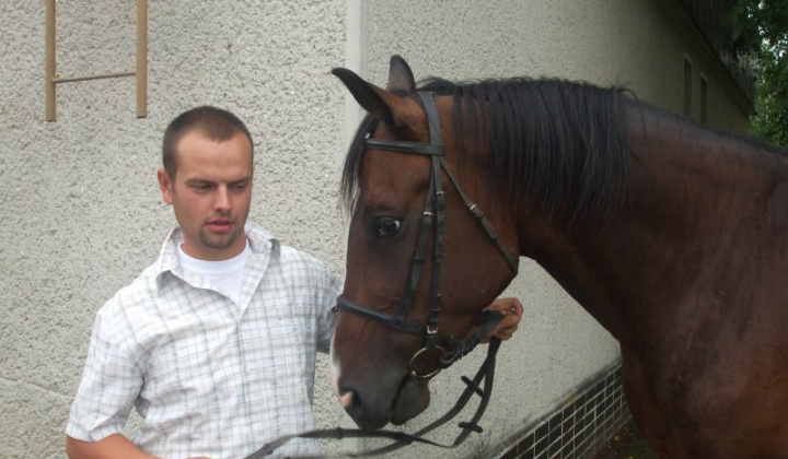 Falunap 2011