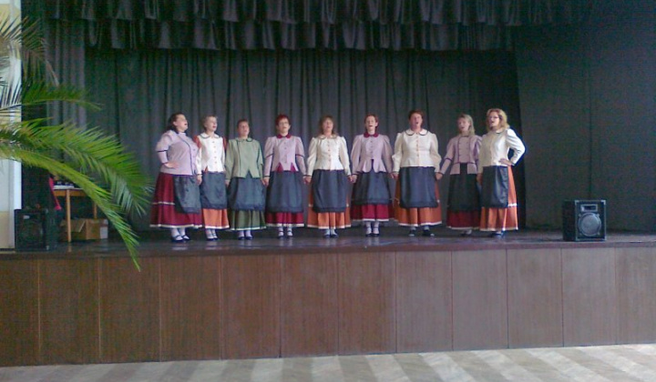 Falunap 2011