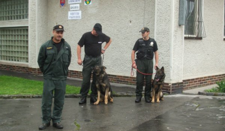 Falunap 2011