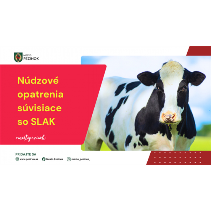 MIMORIADNE NÚDZOVÉ OPATRENIA