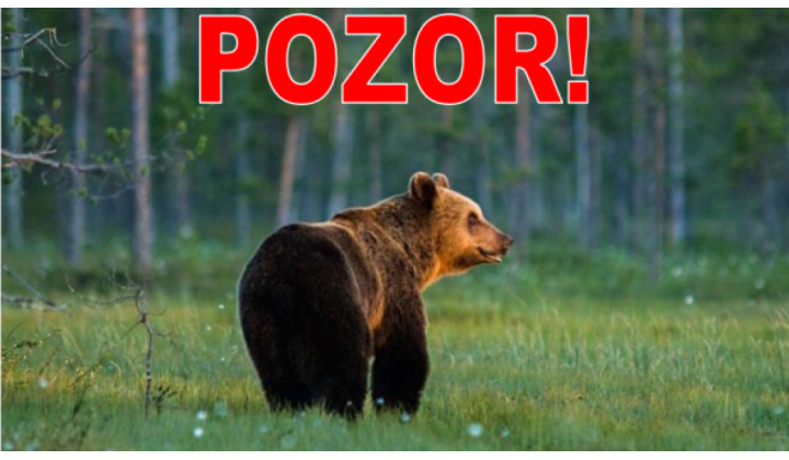 Vyhlásenie mimoriadnej situácie