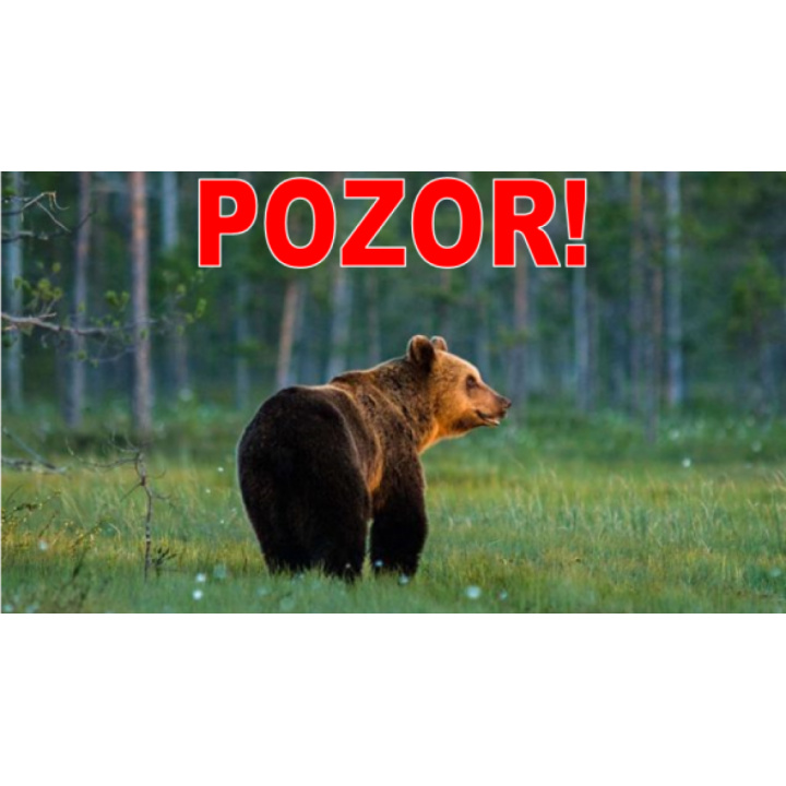 Vyhlásenie mimoriadnej situácie